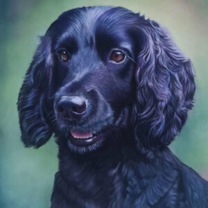 Bailey dog portrait, by Sue Kerrigan-Harris.