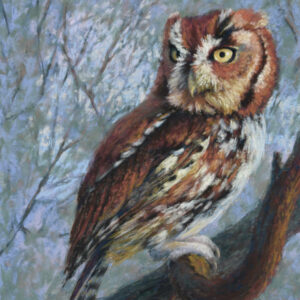 Pastel painting of a Screech Owl siting on a branch.