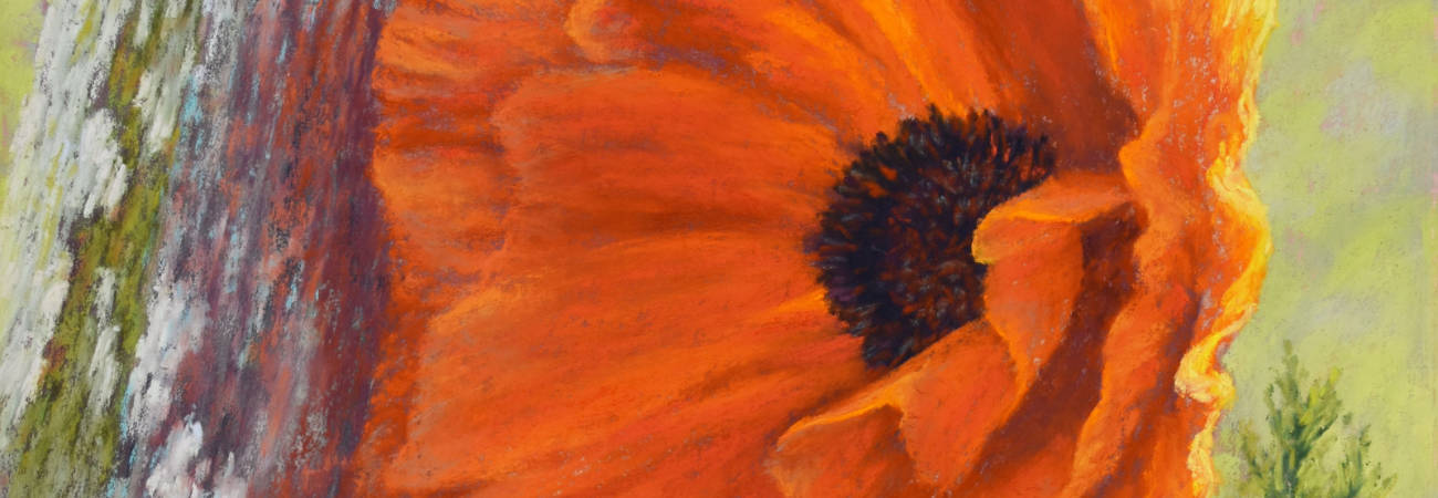 Capturing the Translucence and Textures of a Poppy with Tracey Maras