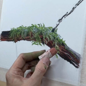 Meral's Mossy Branch soft pastel painting.